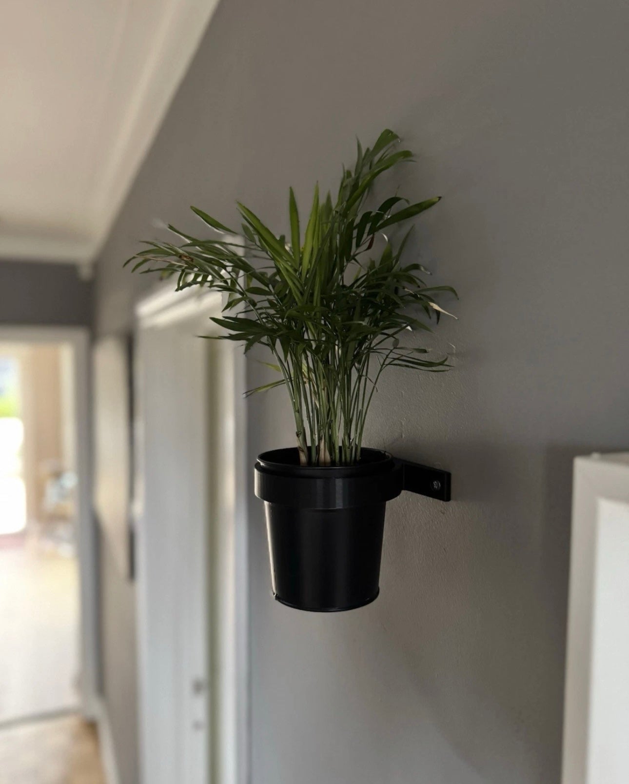 Plant Pot Wall Mount 1 Set Flower Pot Wall Mounted Plant Pot