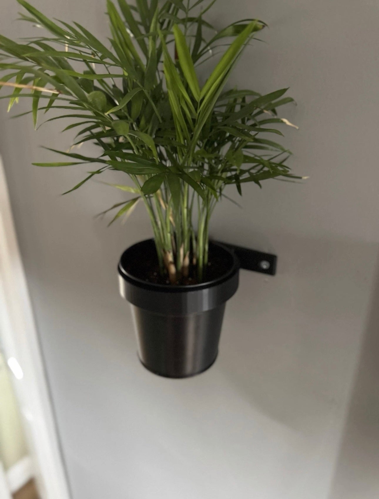 Plant Pot Wall Mount 1 Set Flower Pot Wall Mounted Plant Pot